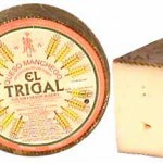 Manchego DOP Mini