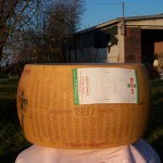 Parmigiano Reggiano DOP Bonati