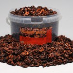 Caramelized Walnuts Mitica®