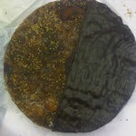 Chocolate Dipped Fig Cakes Mitica®