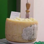 Sfizio Pecorino Fresh