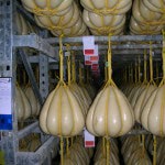 Provolone Piccante DOP