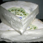 Nocetto di Capra