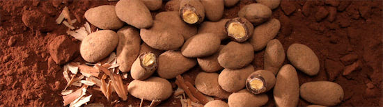piedras for slide show