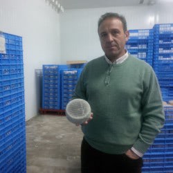 Tiburcio, Ibores producers