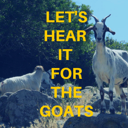 Let’s Hear it for the Goats!