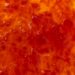 Blood Orange Confiture Casa Forcello® - 1