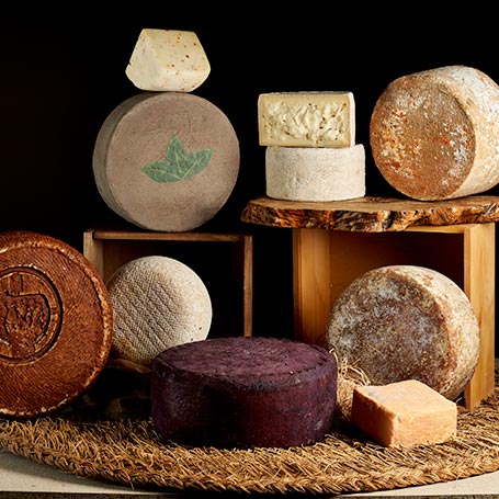 Different types of cheese.
